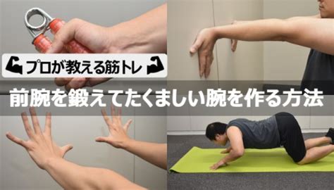 手首 細い 筋肉 つき にくい|【完全版】手首を強くする鍛え方！自分に合った最適な .